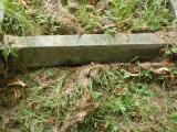 image of grave number 723997